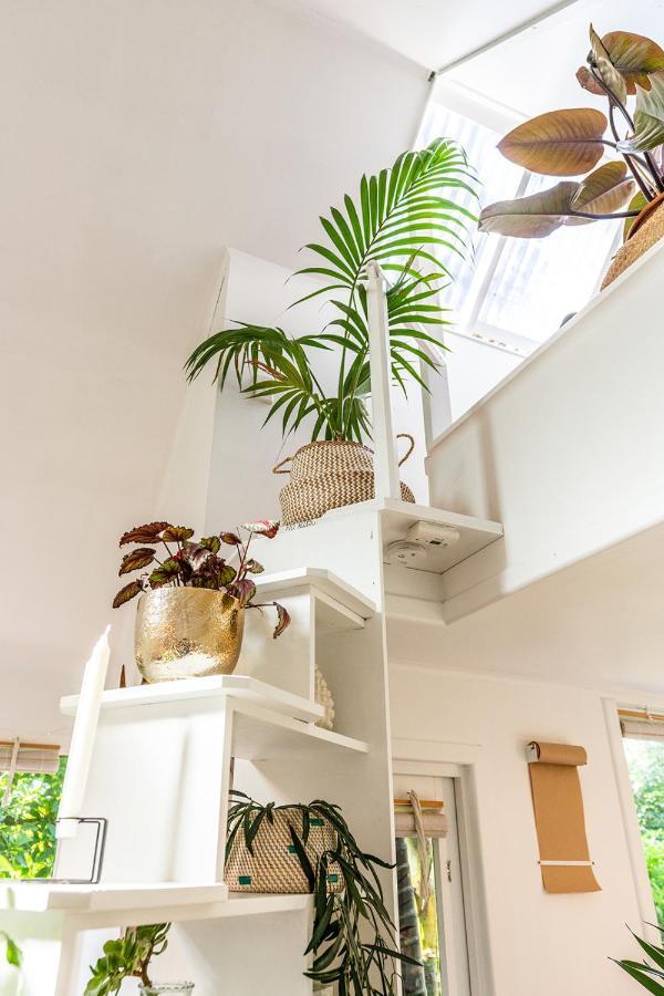 Boho Hill Waiheke Island Villa Palm Beach Eksteriør billede