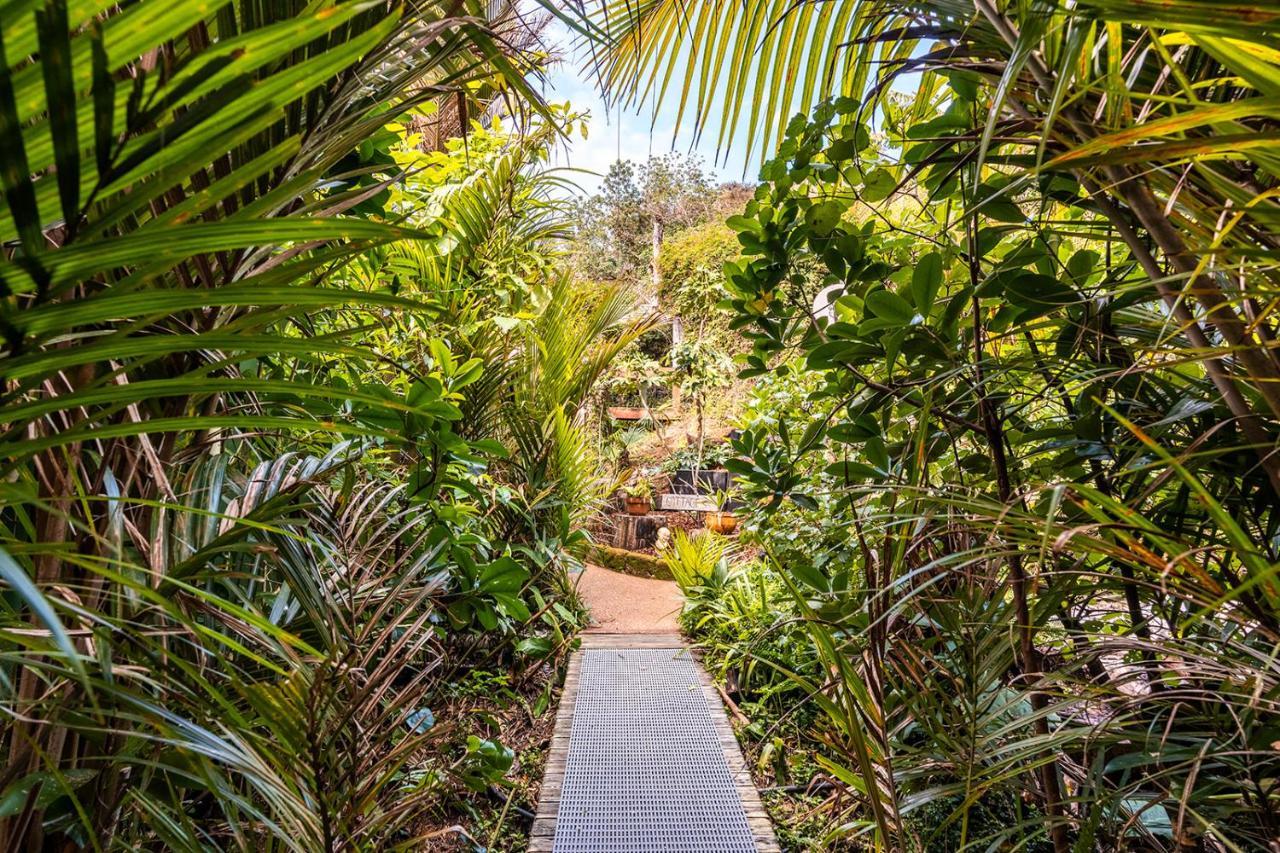 Boho Hill Waiheke Island Villa Palm Beach Eksteriør billede