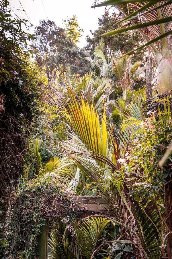 Boho Hill Waiheke Island Villa Palm Beach Eksteriør billede