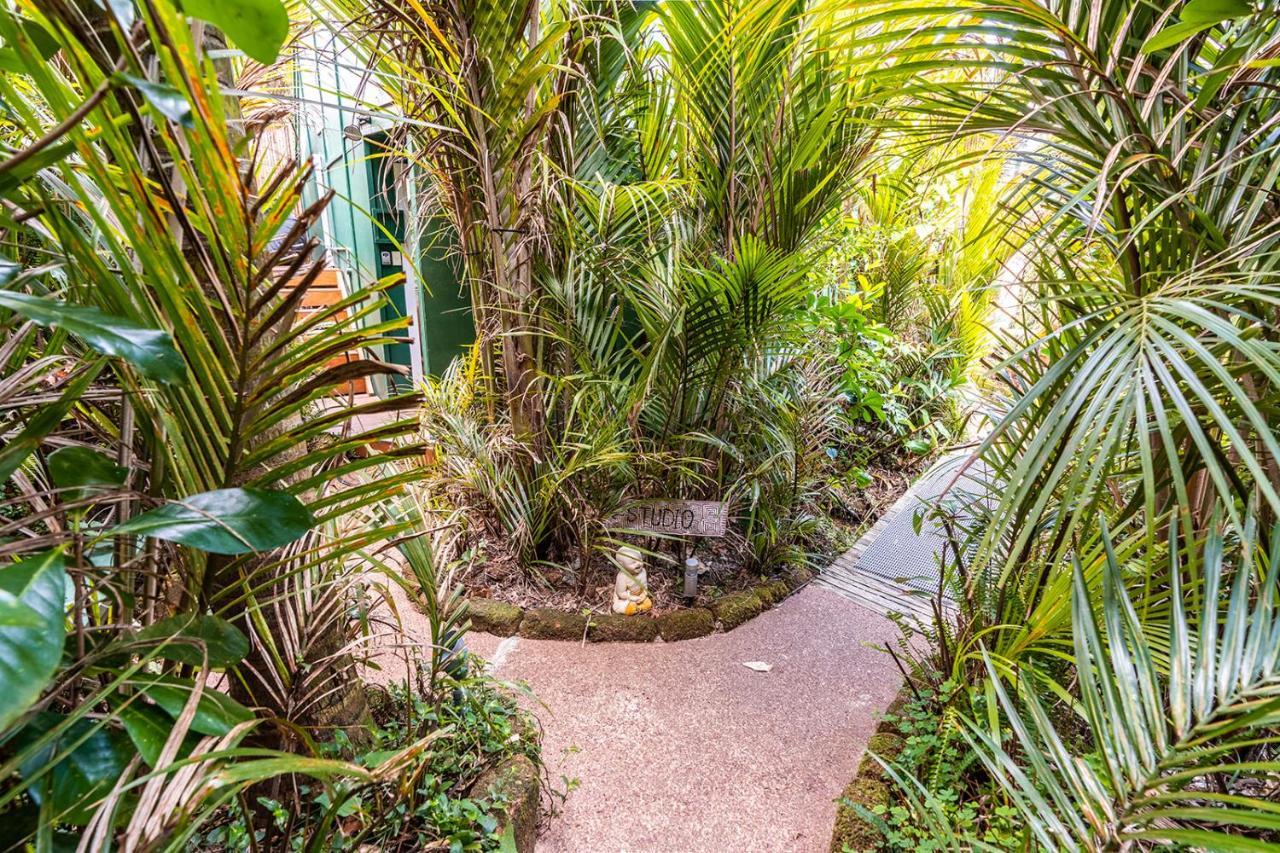 Boho Hill Waiheke Island Villa Palm Beach Eksteriør billede