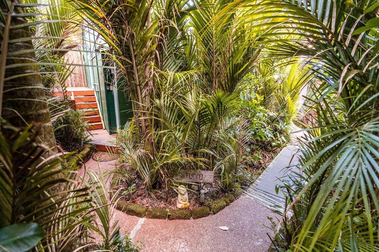 Boho Hill Waiheke Island Villa Palm Beach Eksteriør billede